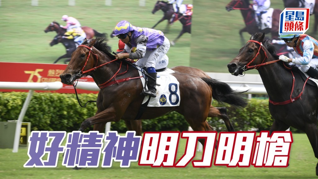 今仗「好精神」擁出賽保護權兼回配贏馬拍檔艾兆禮，部署明刀明槍。