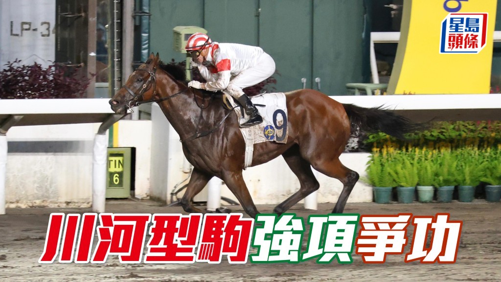 「川河型駒」周日出爭贏過兩次嘅泥地一哩,游達榮當然希望為此馬建功,報答何家駒的支持。