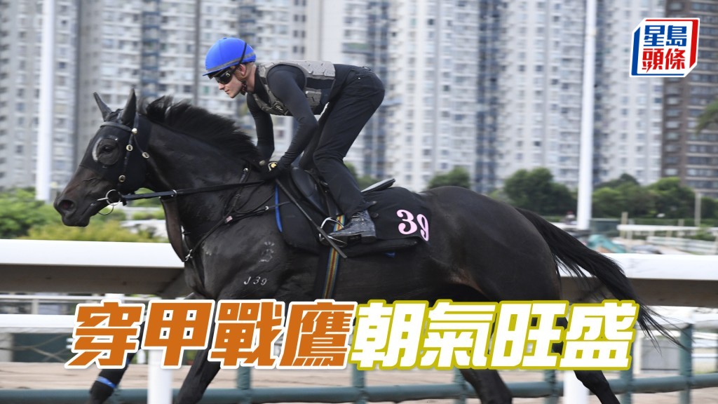 「穿甲戰鷹」試來精神爽利，步順輕快有彈力。