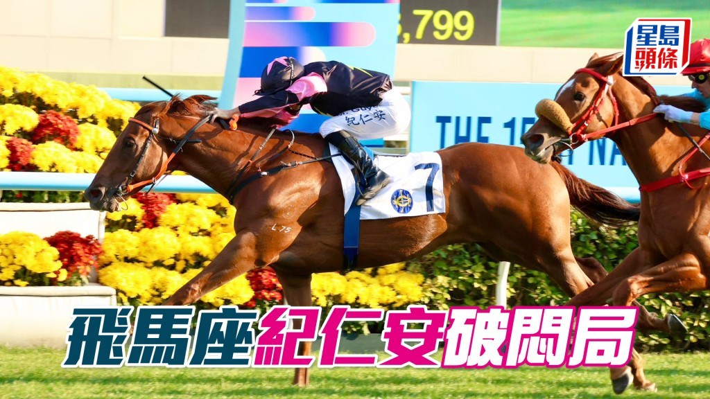 「飛馬座」紀仁安破悶局