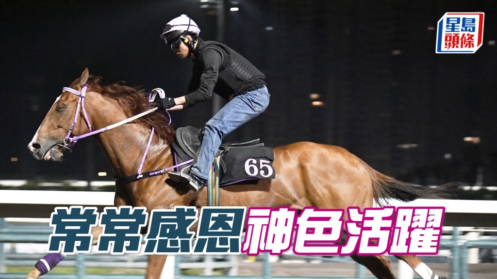 「常常感恩」过步爽力度贯注，观感不逊赢马时。