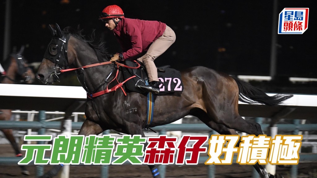 希威森今朝落足心機替「元朗精英」(圖) 出試。