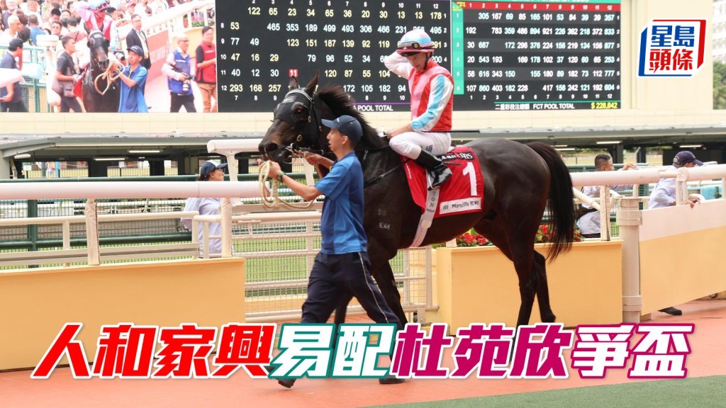 九歲的「人和家興」(圖) 上場在潘頓胯下贏馬，今場改由女騎師杜苑欣策騎。