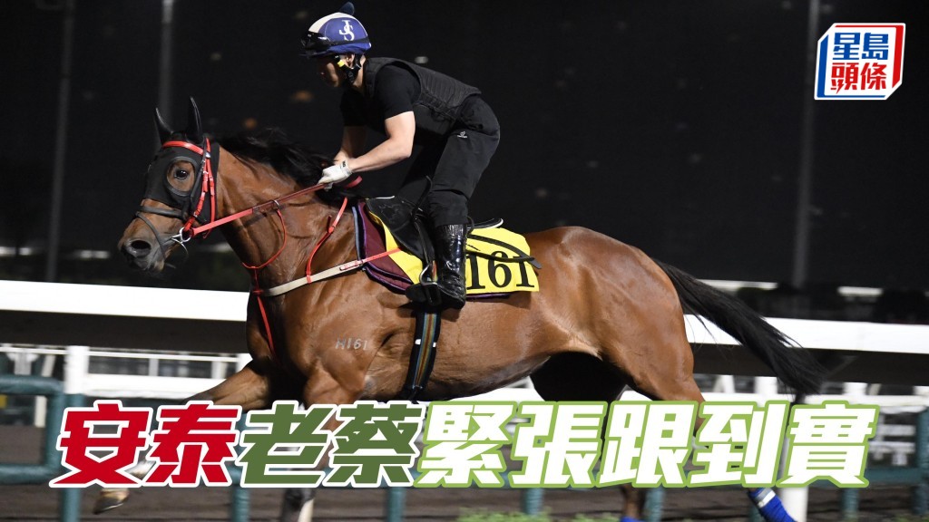 沙田早晨│「安泰」老蔡緊張跟到實