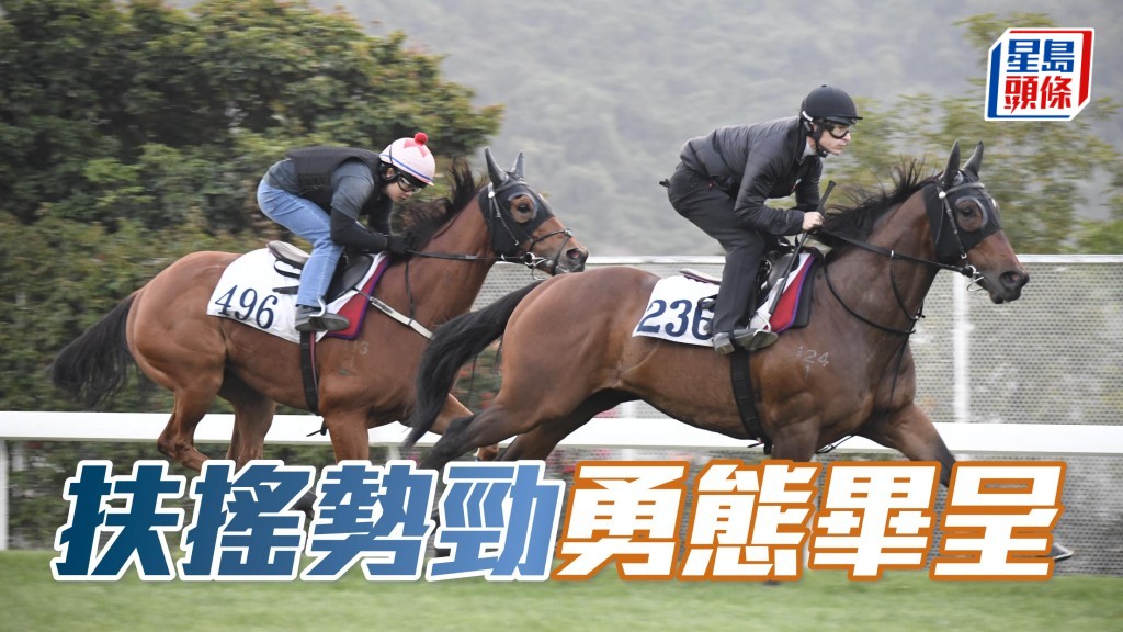 「扶搖勢勁」(前) 戴頭罩由金誠剛跳兩段，出腳急勁，轉腳過程快如閃電，過終點後餘勢強勁，勇態畢呈。