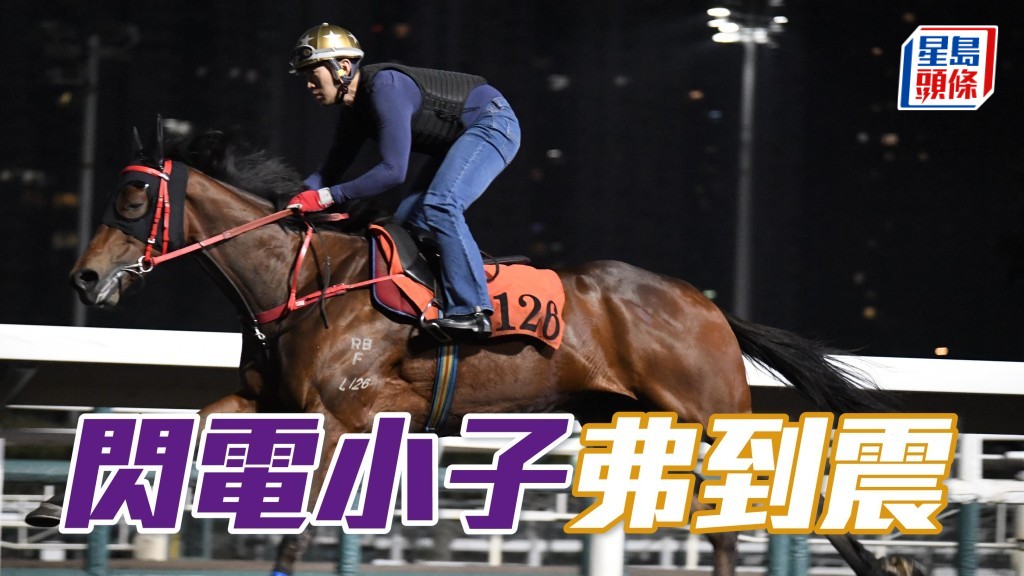 内圈捕影│「闪电小子」弗到震