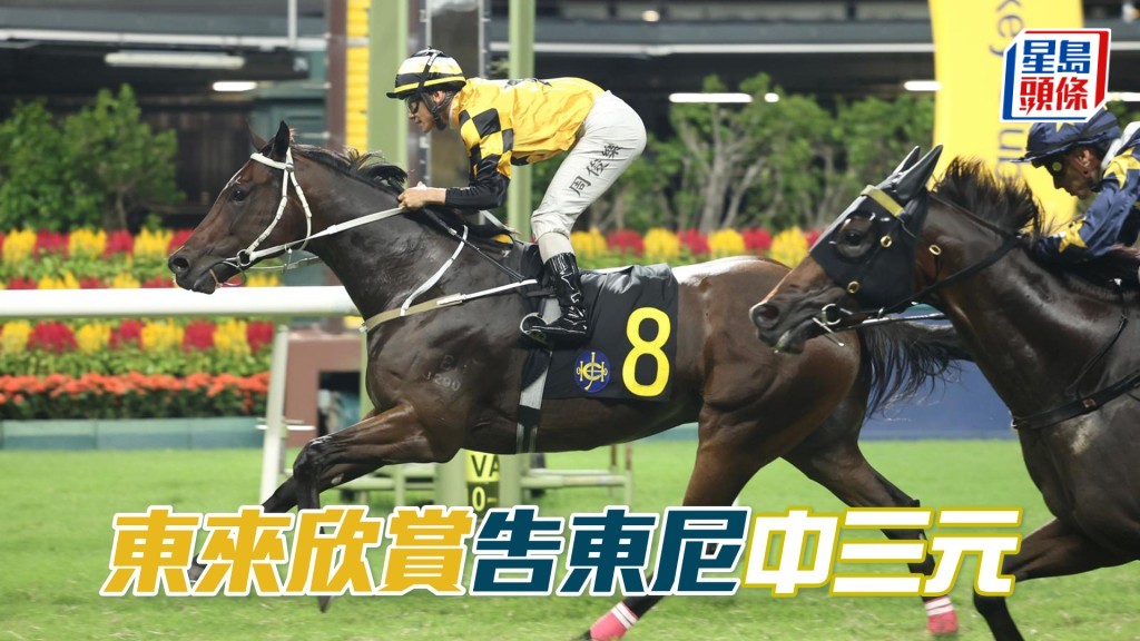 「東來欣賞」告東尼中三元