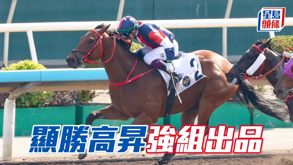 「显胜高升」曾在强组上名，潘顿锲而不舍可捧场。