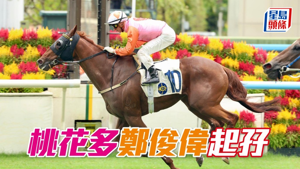 「桃花多」鄭俊偉起孖