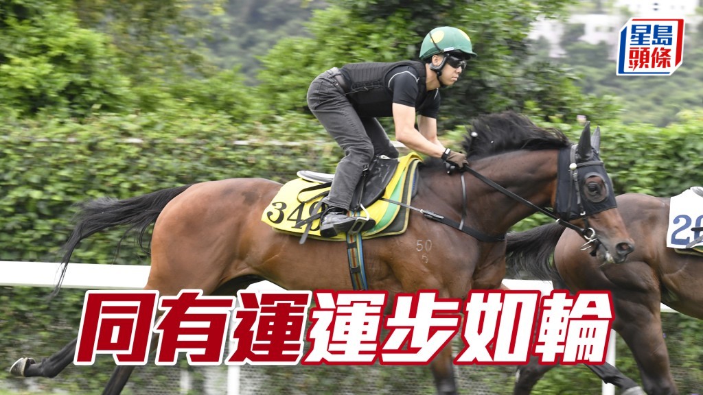 「同有運」力度充足暗火湧現，毛色靚馬身壯。