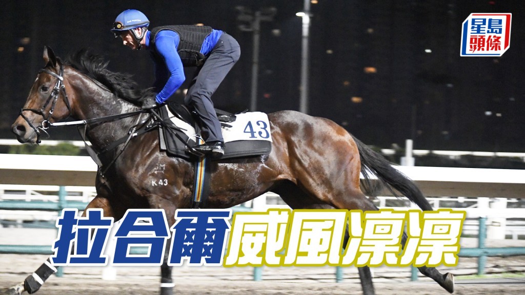 「拉合爾」唔急唔搶氣宇軒昂，走勢俐落有力。