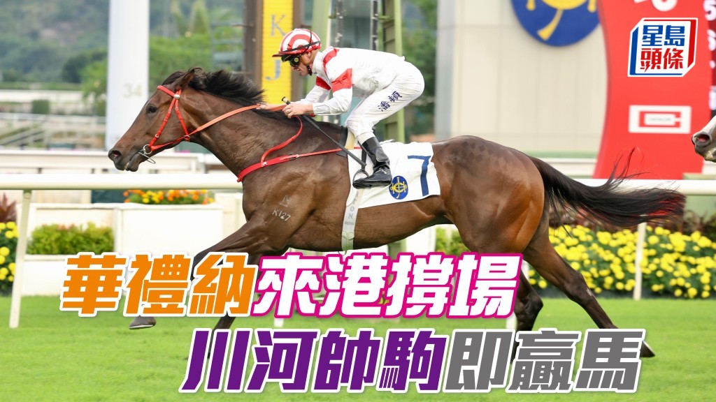 華禮納來港撐場「川河帥駒」即贏馬