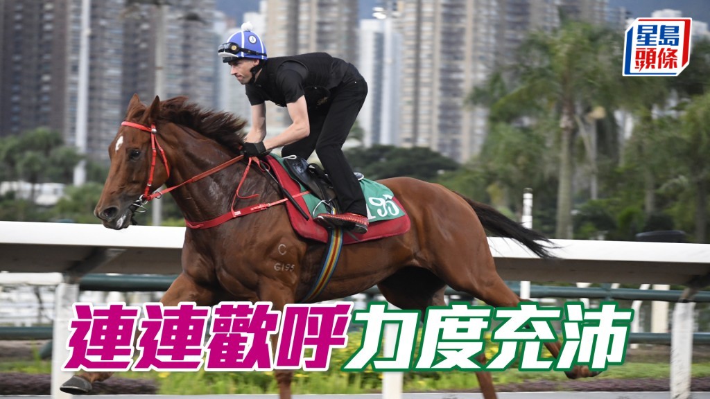「連連歡呼」步挺順暢，狀態理想。