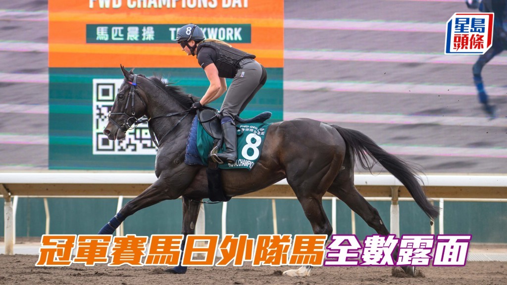 冠軍賽馬日外隊馬今晨全數露面