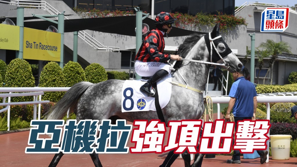 「亞機拉」回降三班作賽,論實力怎計都佔便宜,馬膽不作他想。