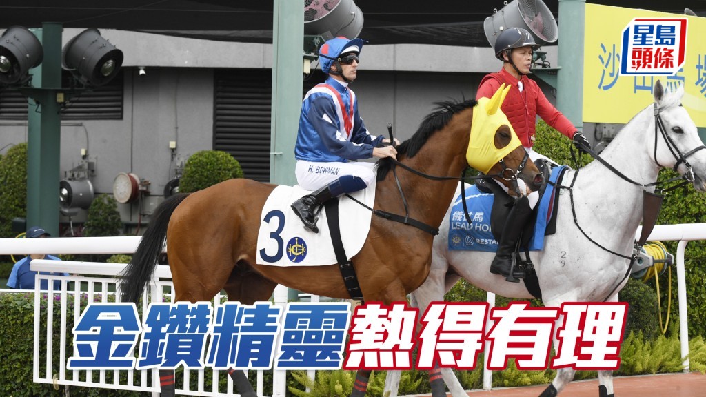 「金鑽精靈」前仗水準高，今次強配潘頓志不在小。