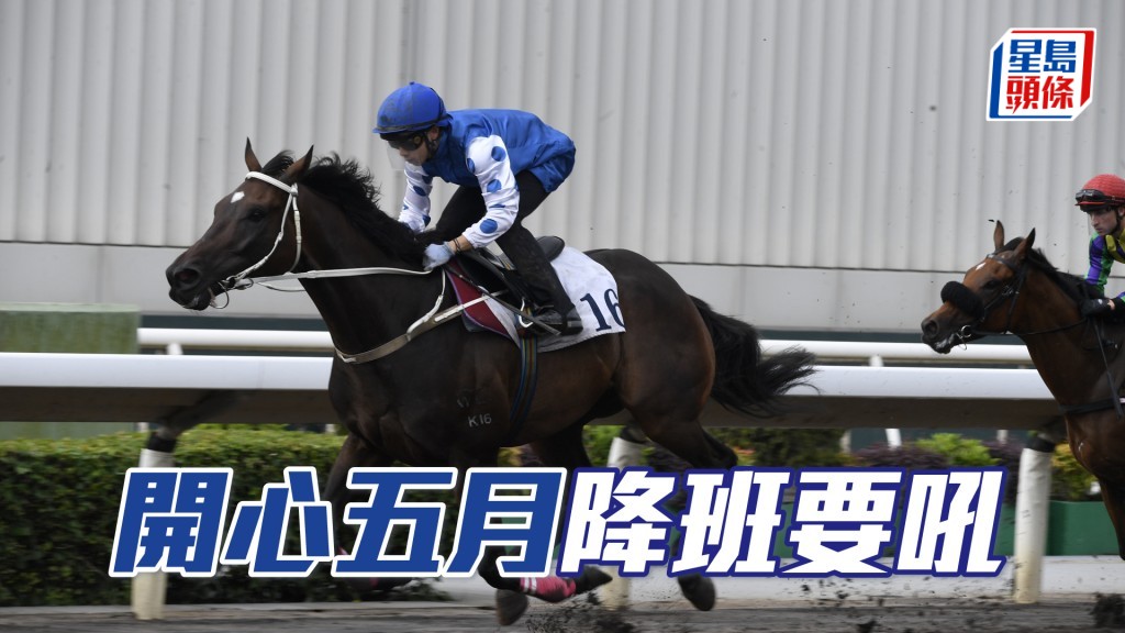 「開心五月」上季尾轉至告東尼馬房後，出賽兩次都走勢尚可，今仗回降四班，已有留意價值。