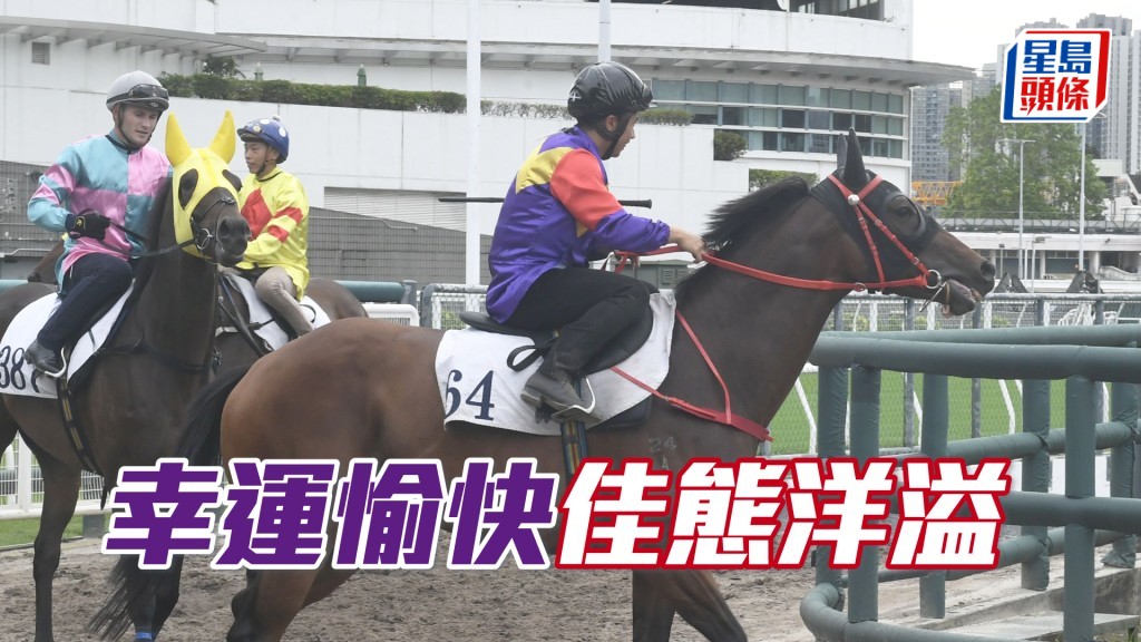 「幸運愉快」神情專注雙目有神，充滿活力好生猛。