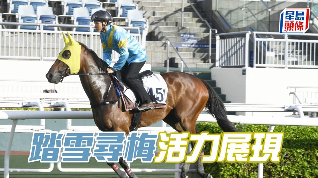 「踏雪尋梅」快慢由人愈見乖巧，早熟馬進度出色。