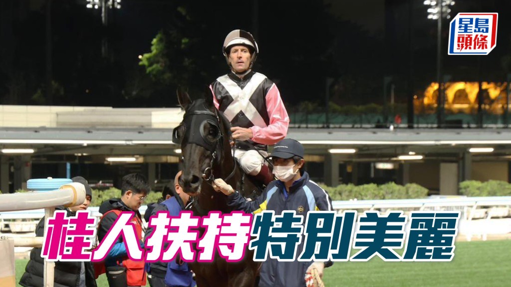 桂人扶持「特别美丽」