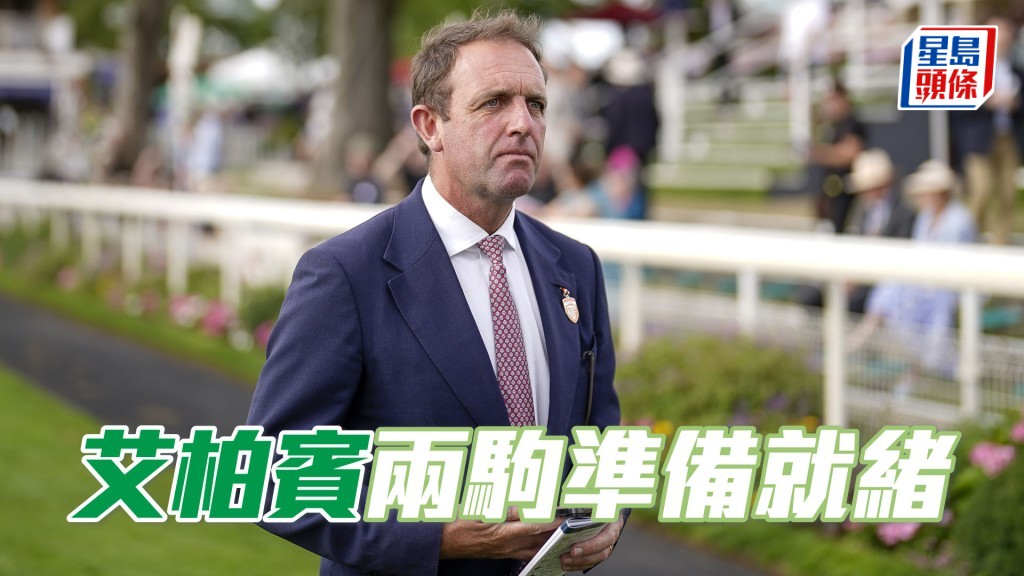高多芬马房一对同母兄弟马「量时度力」及「桀骜之恋」将于今晚杜拜世界杯赛马日分途出击。