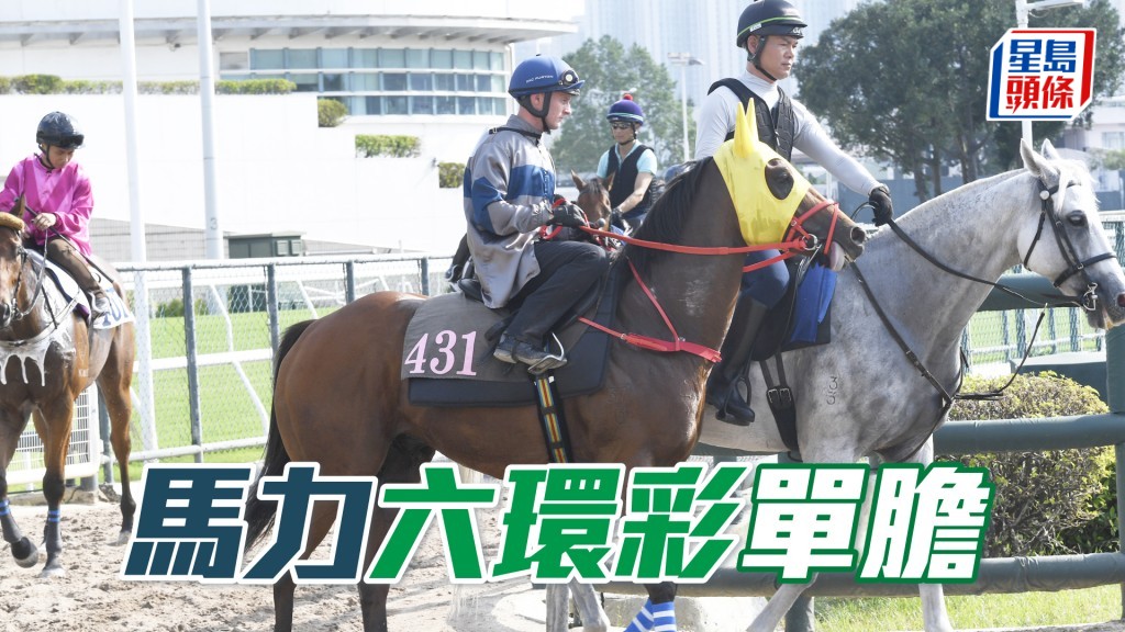 「馬力」強配潘頓排三檔,而且預期有步速,屬全日重心。