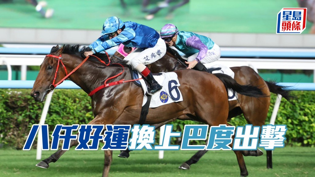  「八仟好運」將出爭下周一沙田日馬三班千六米。