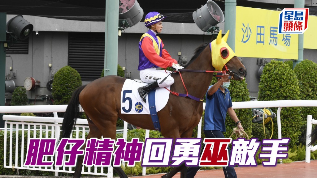 「肥仔精神」最近試閘走勢一氣呵成，狀態已回勇，回師勝途有望重開勝門。