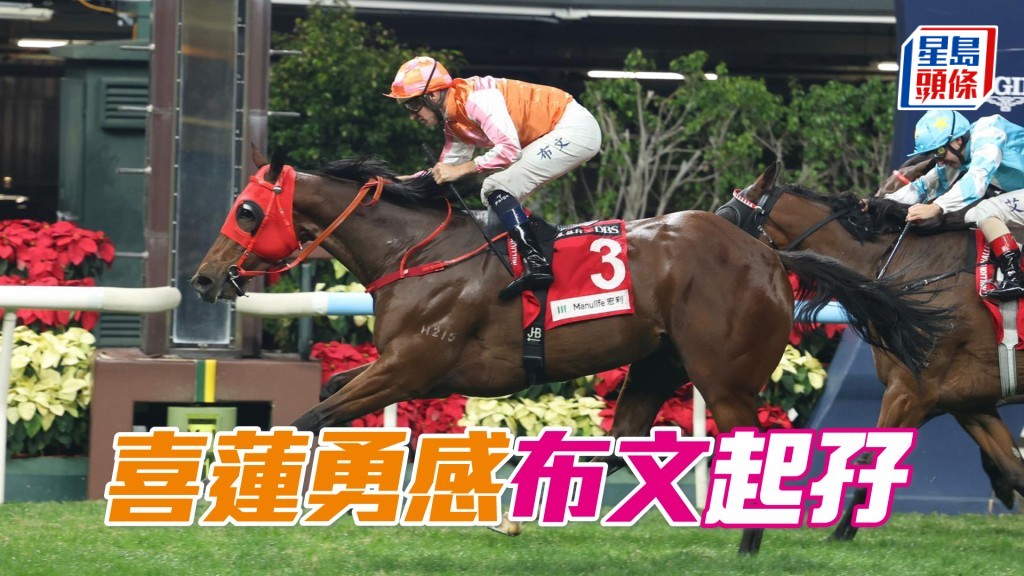 「喜莲勇感」布文起孖