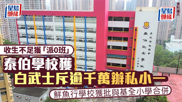 馬鞍山的吳氏宗親總會泰伯紀念學校，獲「白武士」斥資逾千萬元，獲批開辦「私小一」。資料圖片
