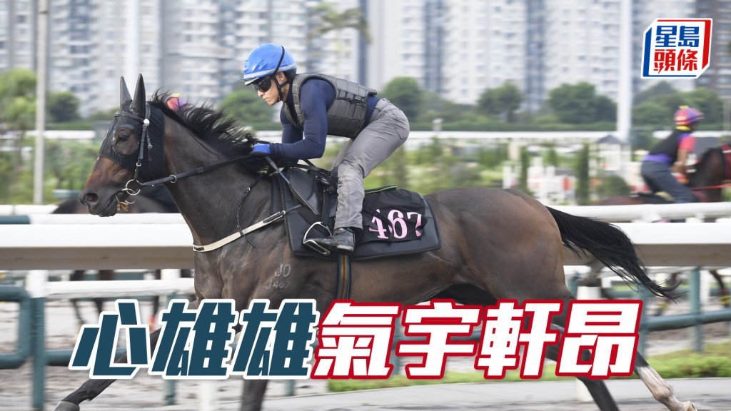 「心雄雄」馬身唔瘦扎實，落腳輕快彈力充足。