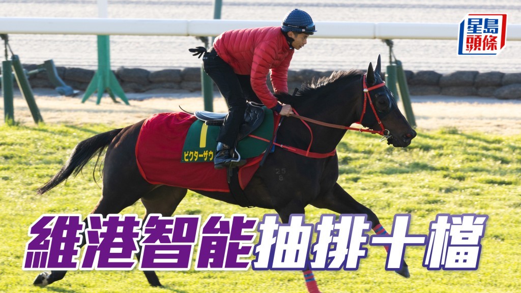「維港智能」在中京競馬場出操。