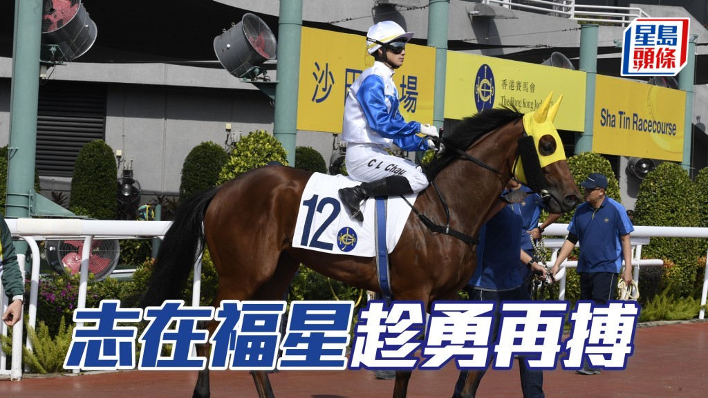 「志在福星」上場落五班,與「荃程路通」雙雙甩開主馬群串Q,表現悅目。