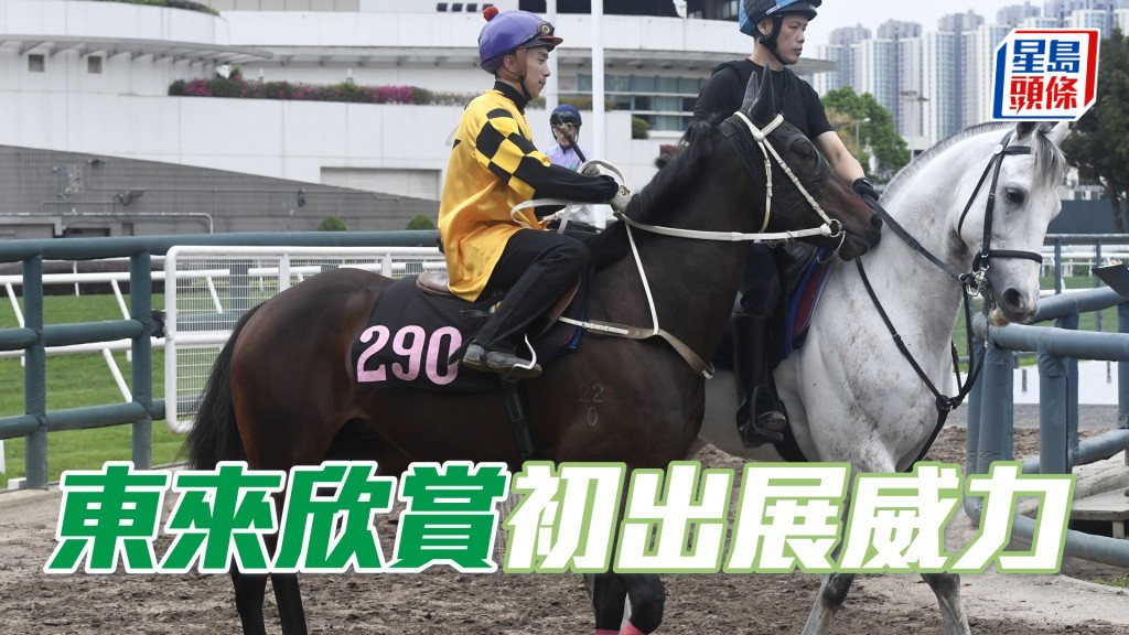 「東來欣賞」明晚在港初出。