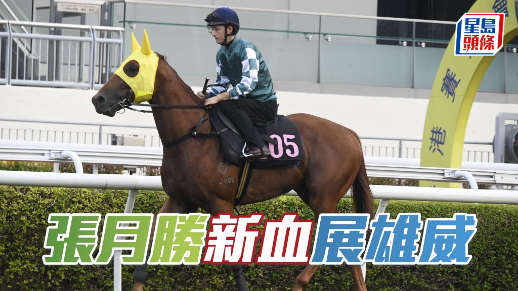 今次張月勝有新馬「展雄威」，角逐周日沙田賽事第八場三班千二米。