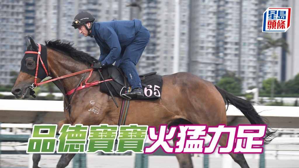 「品德寶寶」馬身飽滿毛色悅目，勇況保持有餘。
