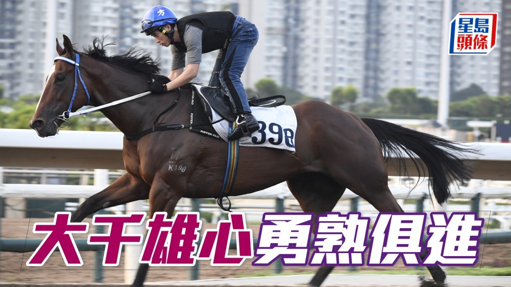 「大千雄心」助手跳三段,大步順走神態集中,愈見輕身出腳利落,勇熟俱進。