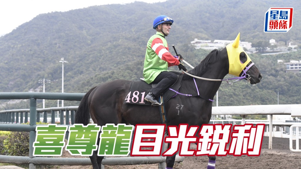 「喜尊龍」健步如飛走勢爽勁，佳態保持有餘。