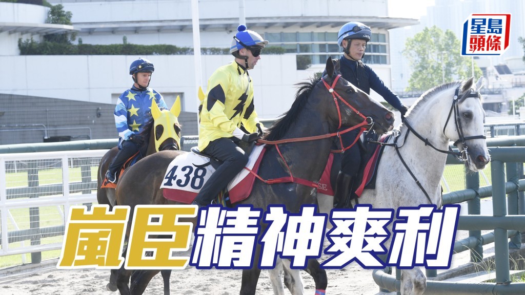 「嵐臣」步幅開得好闊又夠急勁，佳態洋溢蓄勢待發。