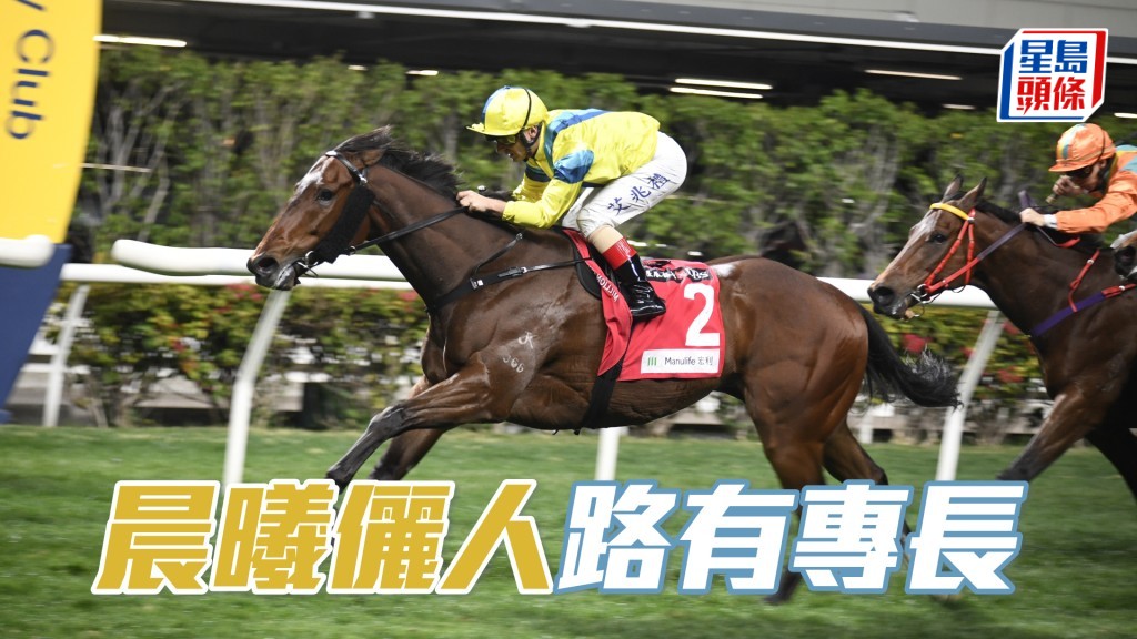 「晨曦儷人」近期狀態回勇，今仗負輕磅跑首本路程谷草千二米。