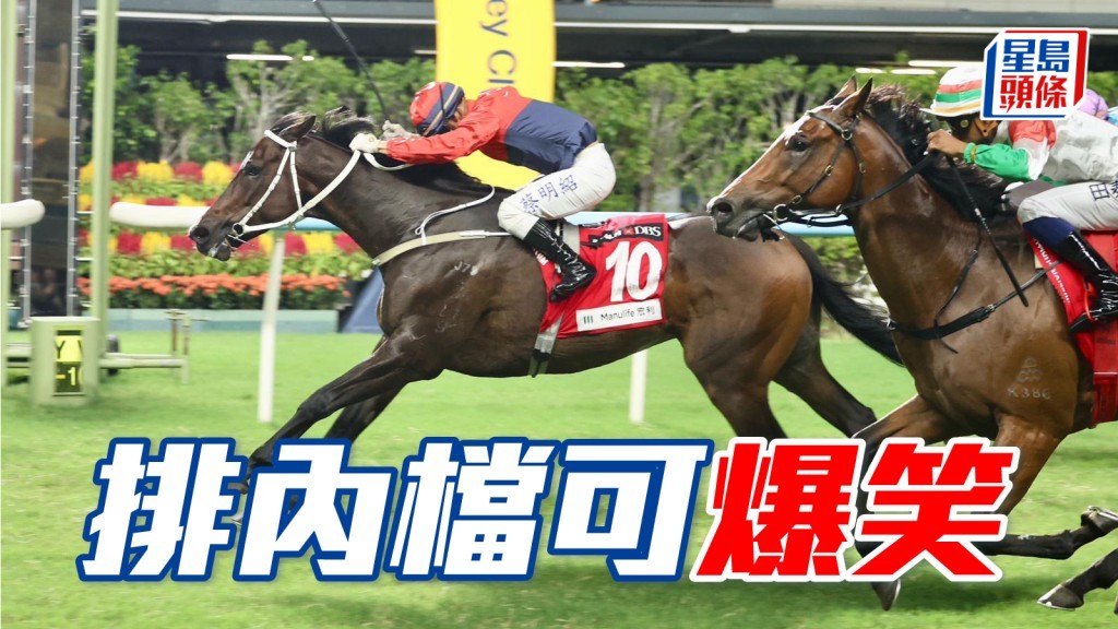 「爆笑」(圖) 近來狀態不俗，今仗再戰谷草一哩排四檔有權變身。