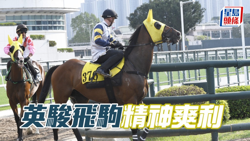 「英駿飛駒」步順輕快彈力足夠，神態軒昂銳氣正盛。