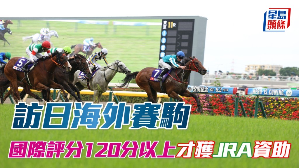 馬場浮世繪｜JRA改指引 訪日海外賽駒 國際評分120分以上才獲資助