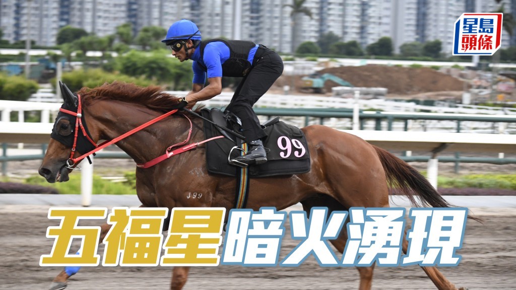 「五福星」運步如輪力度充足，充滿朝氣佳態洋溢。