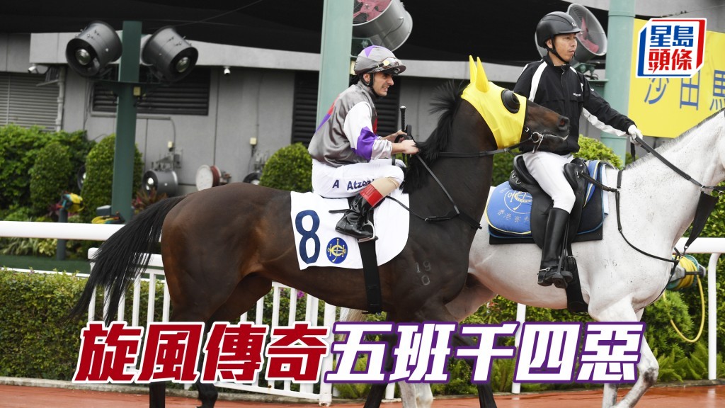 「旋風傳奇」上季可贏四班賽，現居五班回師勝途，不能忽視。