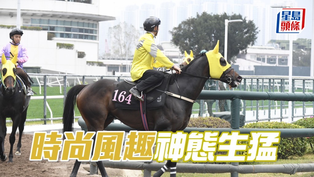 「时尚风趣」暗火涌现跃跃欲试。