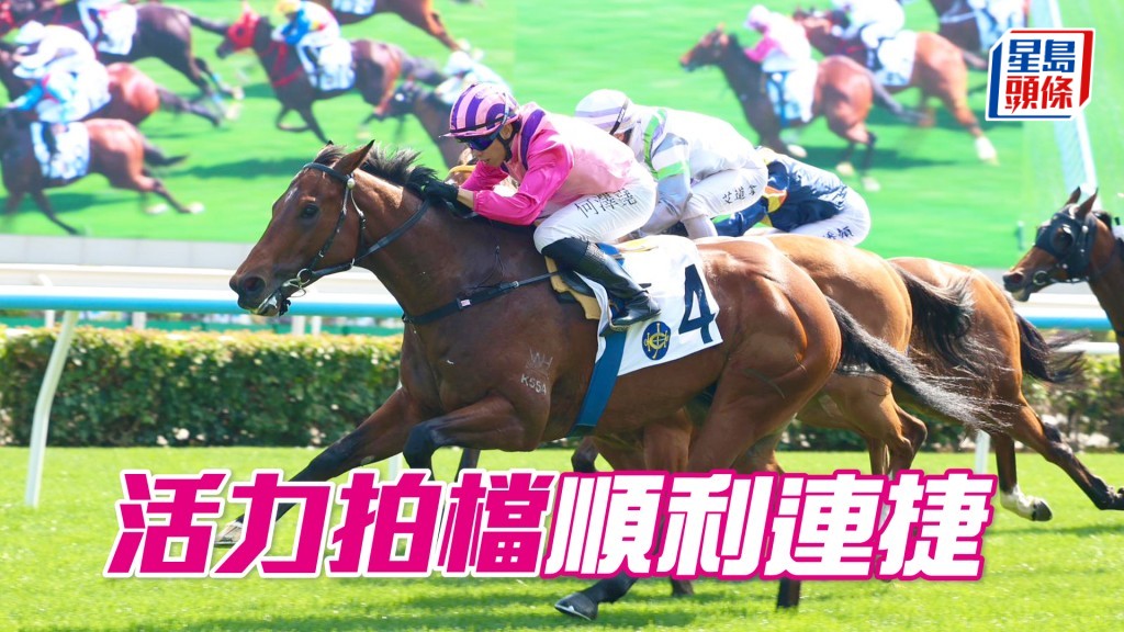 「活力拍檔」順利連捷