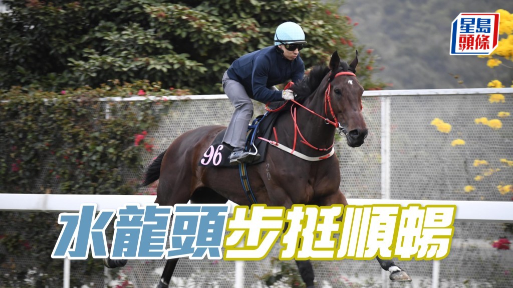 「水龍頭」馬身壯全身肌肉，力度充沛。