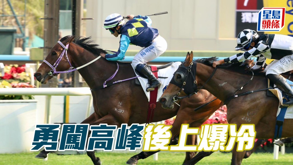 「勇闯高峰」后上爆冷