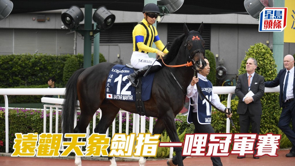 「遠觀天象」(圖) 在二級賽富士錦標跑第二後，下一個目標將是下月二十三日在京都競馬場舉行的一哩冠軍賽。